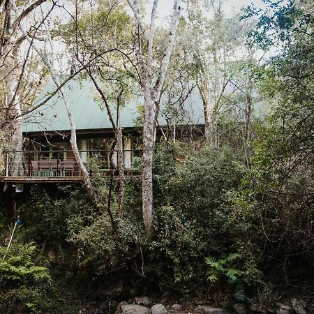 Rockwood Karkloof Forest Lodge & Mountain Cabin Yarrow المظهر الخارجي الصورة