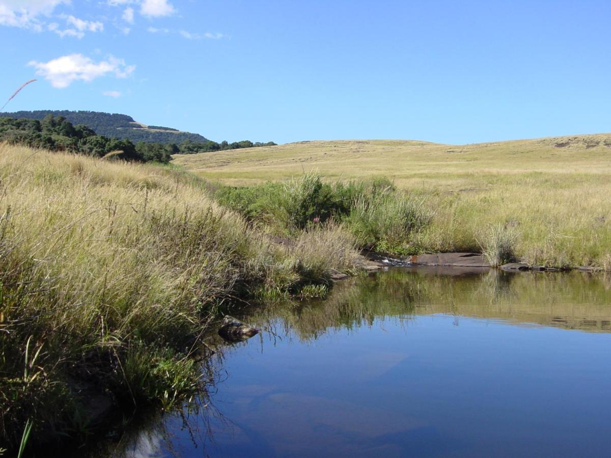 Rockwood Karkloof Forest Lodge & Mountain Cabin Yarrow المظهر الخارجي الصورة