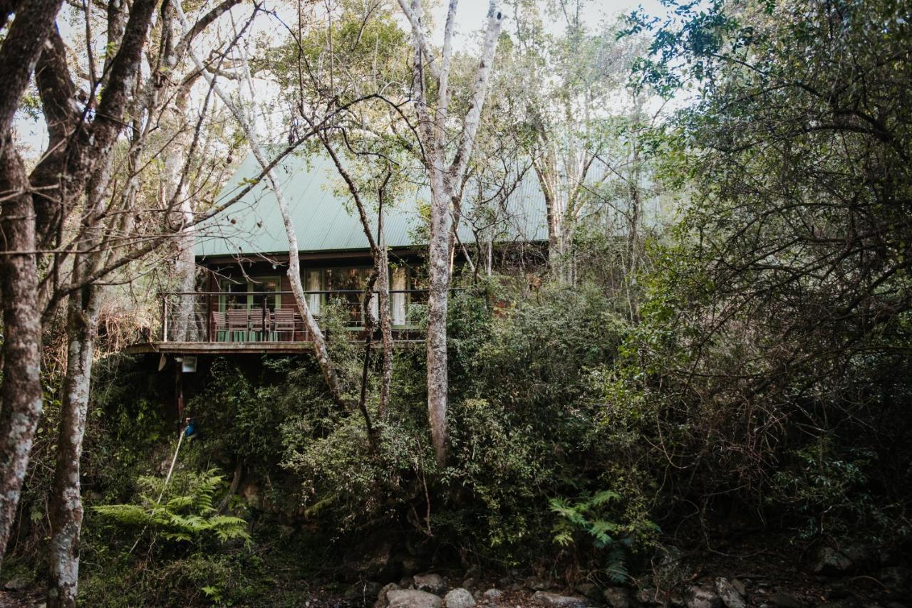 Rockwood Karkloof Forest Lodge & Mountain Cabin Yarrow المظهر الخارجي الصورة
