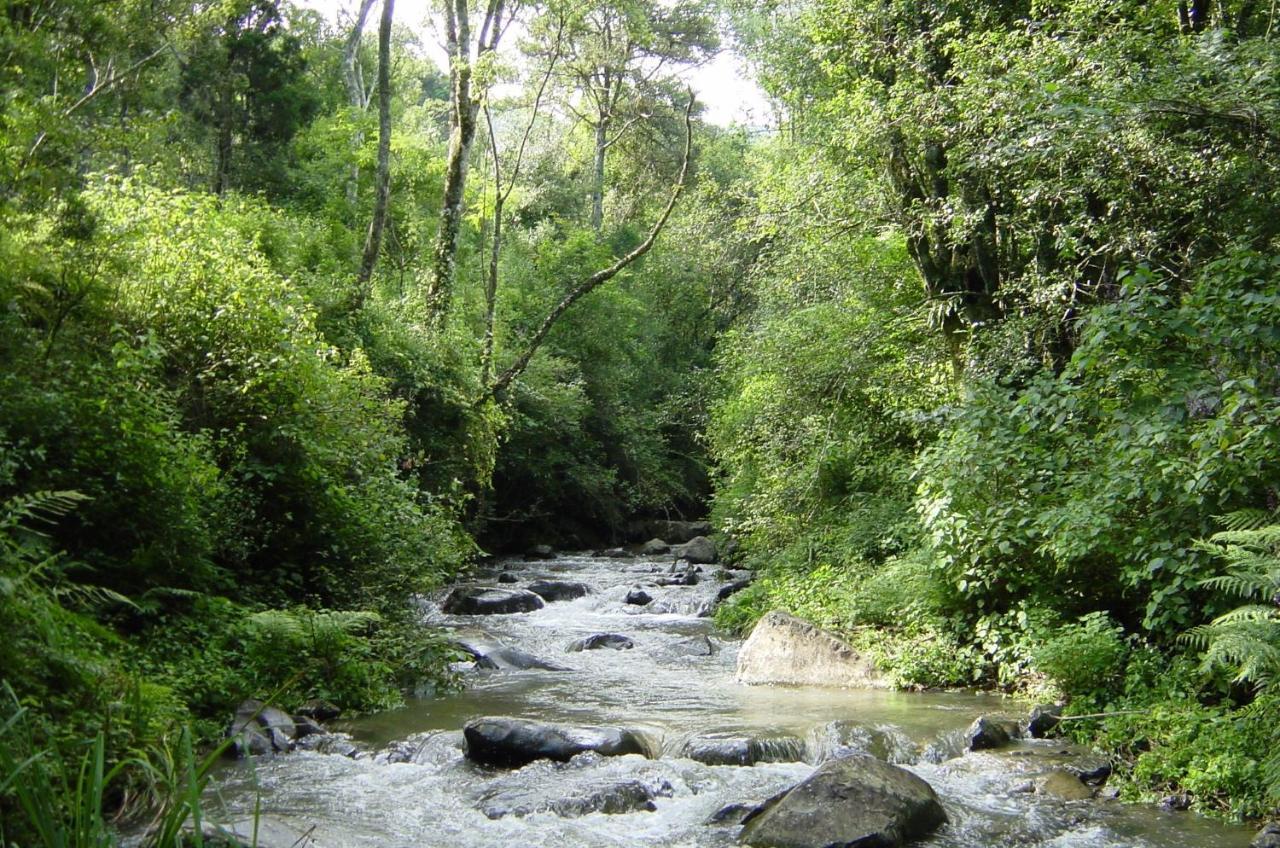 Rockwood Karkloof Forest Lodge & Mountain Cabin Yarrow المظهر الخارجي الصورة