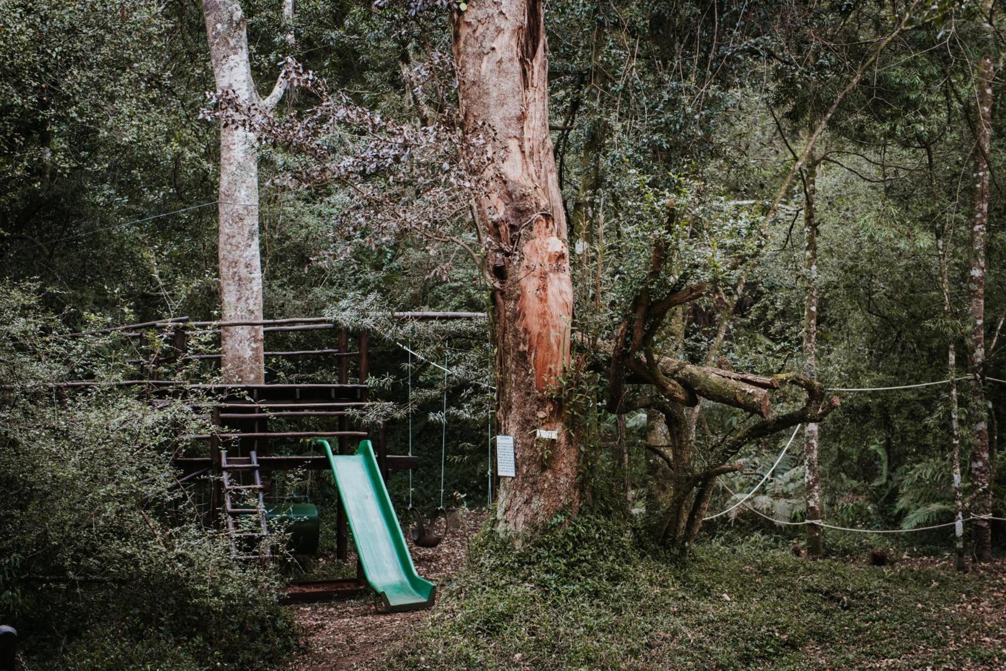 Rockwood Karkloof Forest Lodge & Mountain Cabin Yarrow الغرفة الصورة